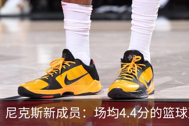 尼克斯新成员：场均4.4分的篮球万金油，真的是“补丁”别具一格！
