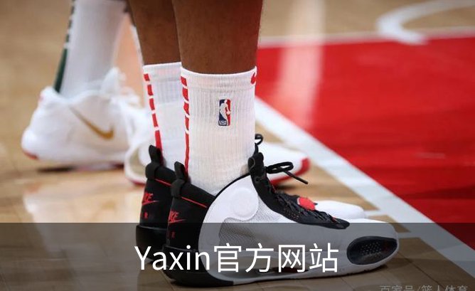 Yaxin官方网站介绍